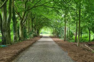 an example of we helped to return some of a farm’s amenity value to the owners, who are closely affected by the HS2 development in Buckinghamshire.