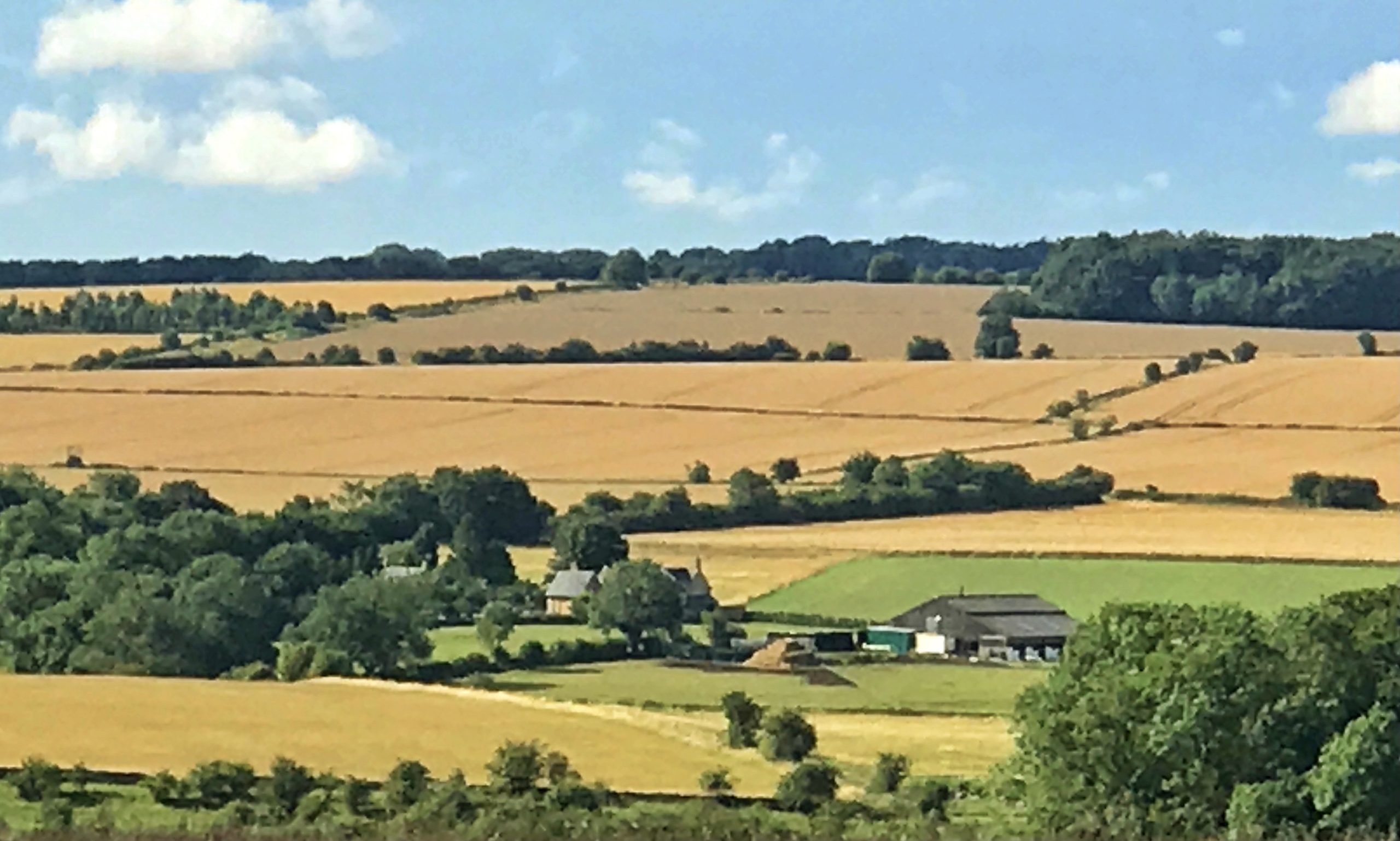 Cotsworld's farm
