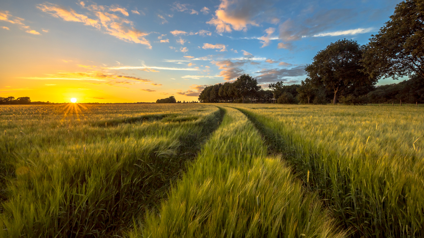 What Does This Labour Government Need to Do to Make Diversification More Appealing to Farm Businesses?