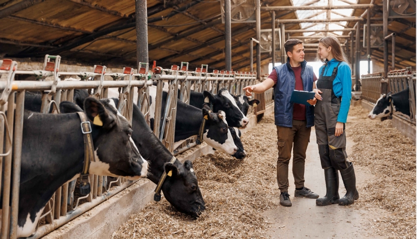 The Tees Solicitors Farm Survey 2025