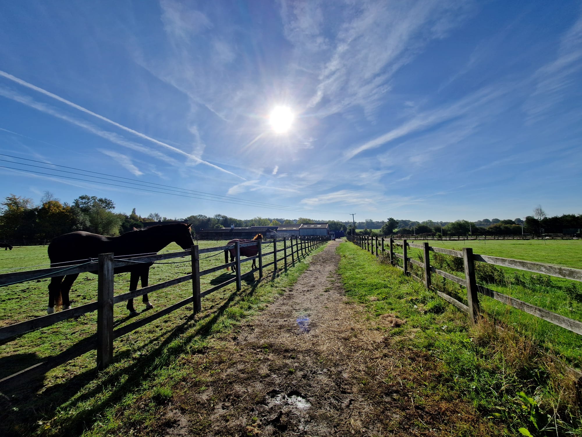 Navigating Planning Challenges for Equestrian Units