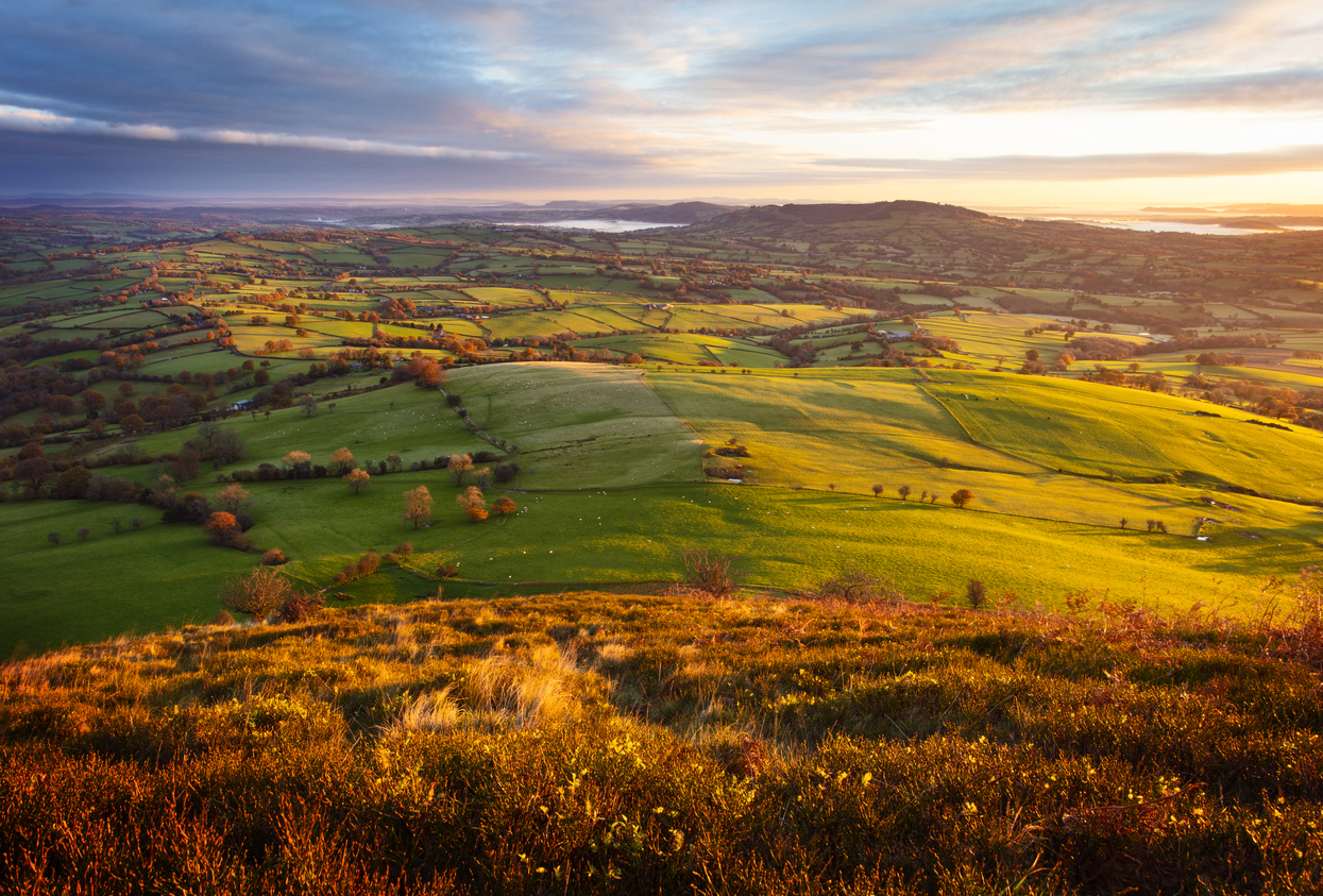 Rural Diversification in 2026: Stop the Leakage and Commit to That Project