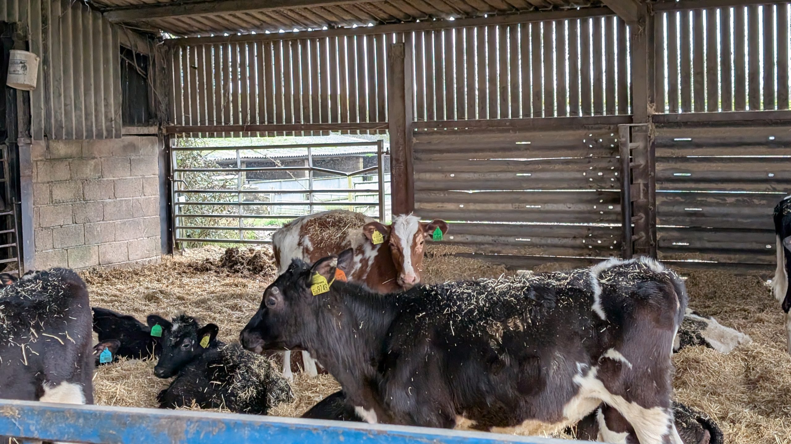 Finding Shared Solutions Beyond the Farm Gate