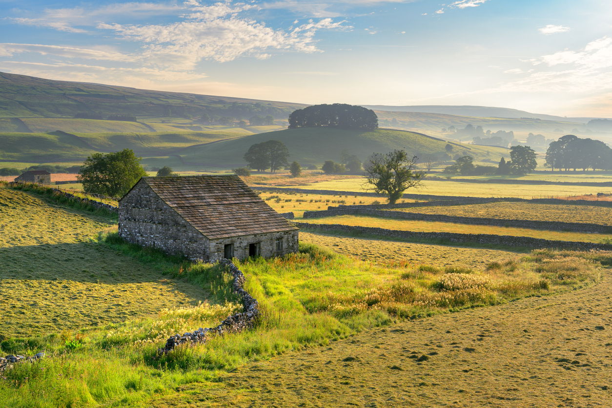 The quiet strength of a fallback: using permitted development rights as your safety net