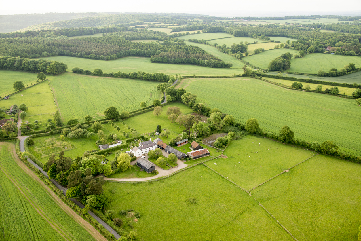 Rural Diversification: Why Strategic Planning Matters More Than Ever