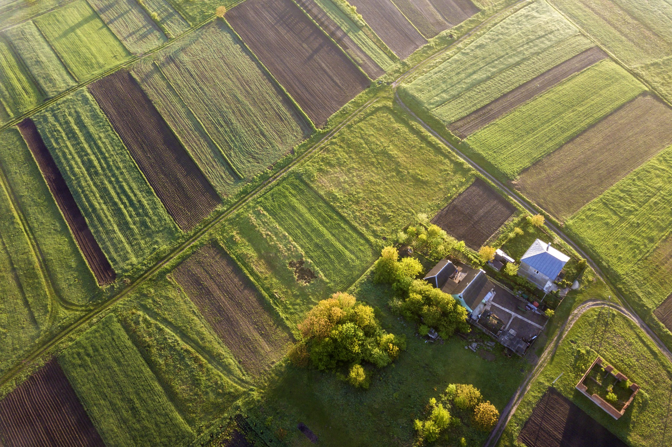 “We’ll Wait Until After Harvest”: The Hidden Cost of Delaying Your Farm Diversification Plans
